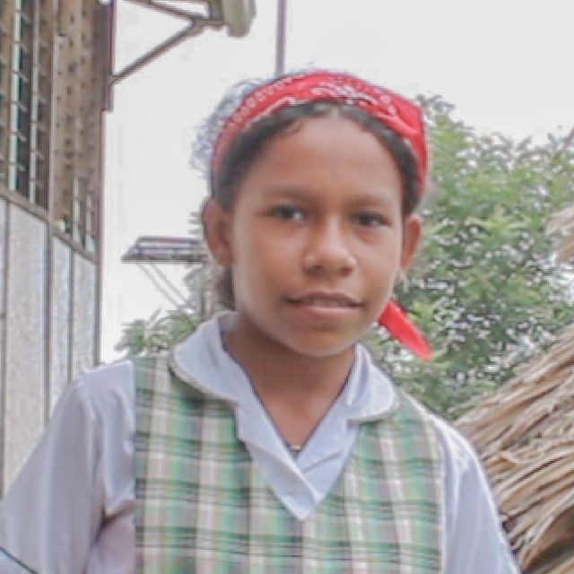 Diany Luz Torres